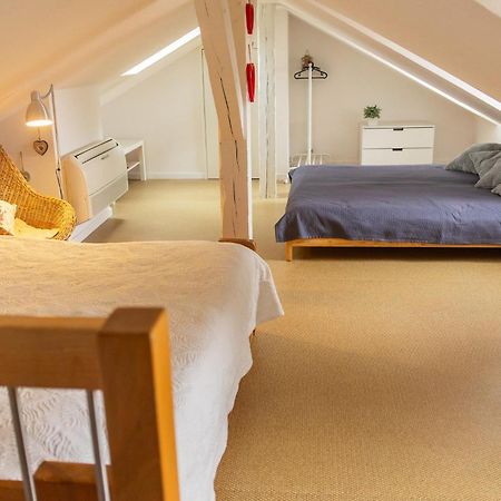 City Center Duplex Loft Colmar Extérieur photo