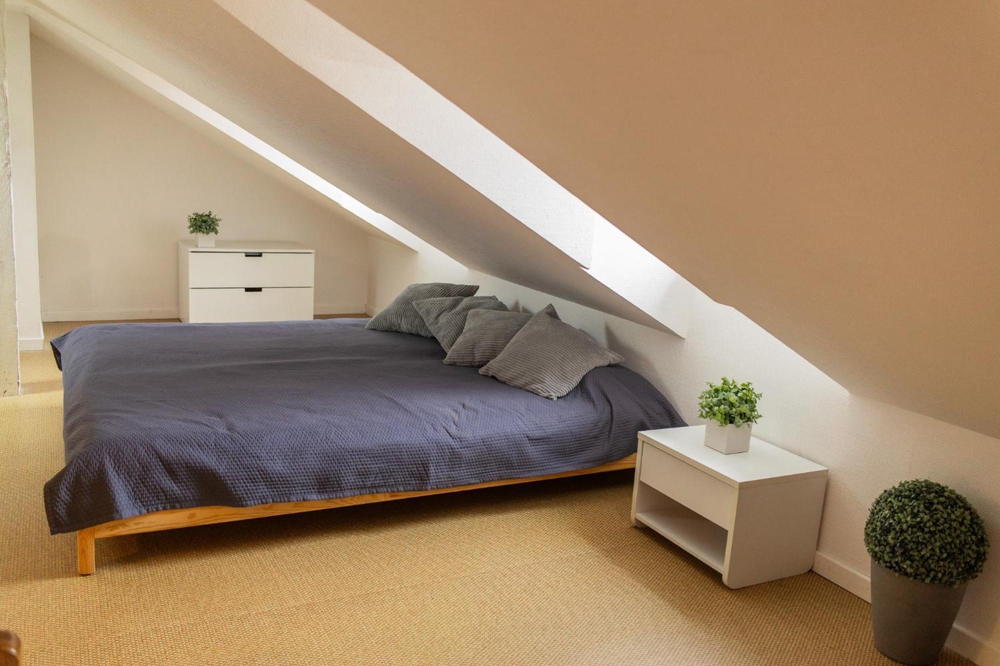 City Center Duplex Loft Colmar Extérieur photo